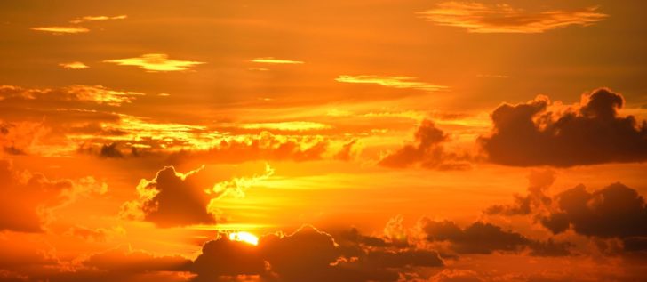 vibrant-1617470_1920