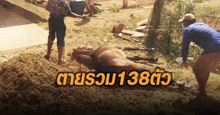 กาฬโรคม้า