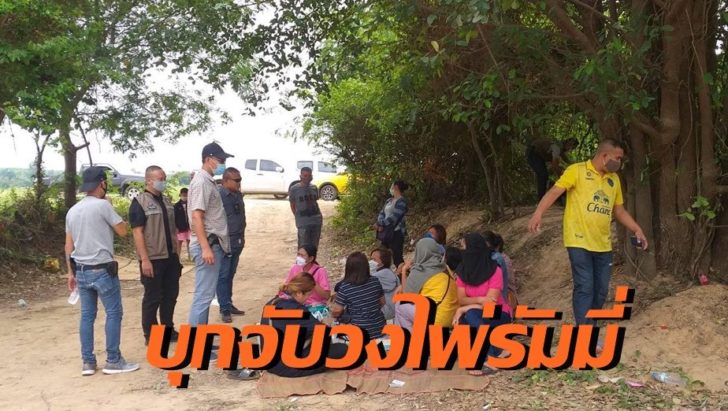 จับรัมมี่