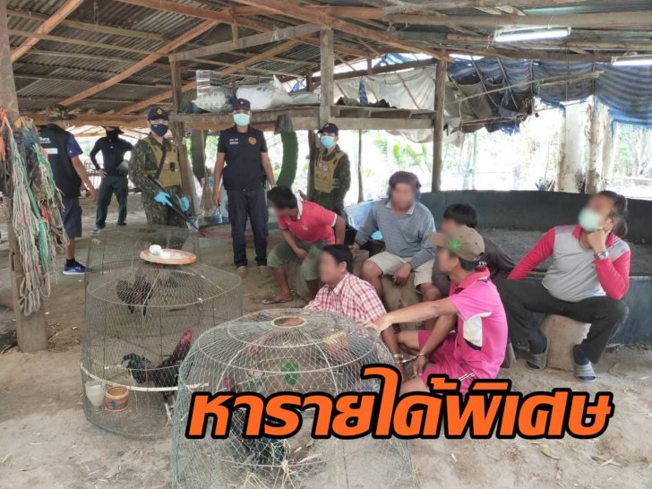 นครพนม จับเซียนไก่3