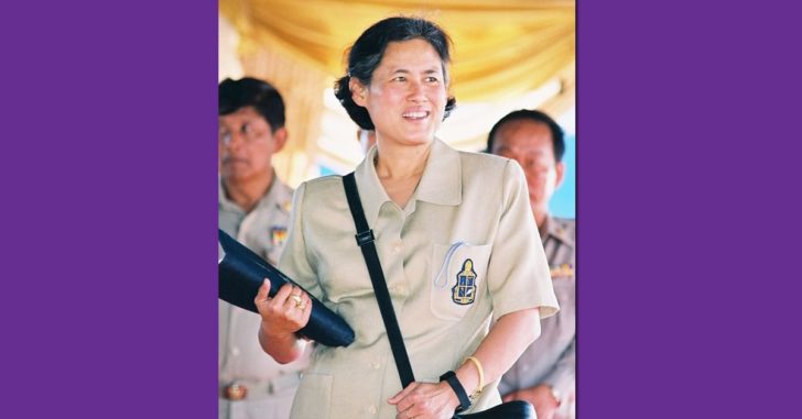 กรมสมเด็จพระเทพฯ