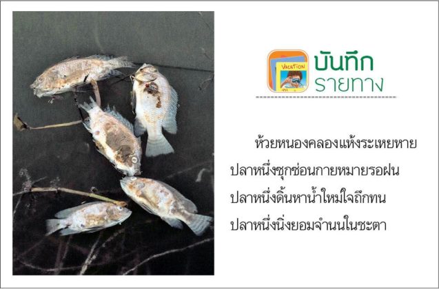 บันทึกรายทาง วันอาทิตย์ที่ 12 เมษายน 2563