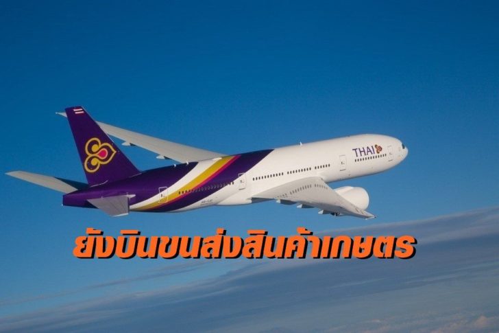 บินไทย-