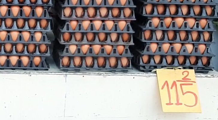 บทความ : ‘ไข่ไก่’สินค้าอ่อนไหวในทุกเทศกาล โดย ดำเกิง คำแหง