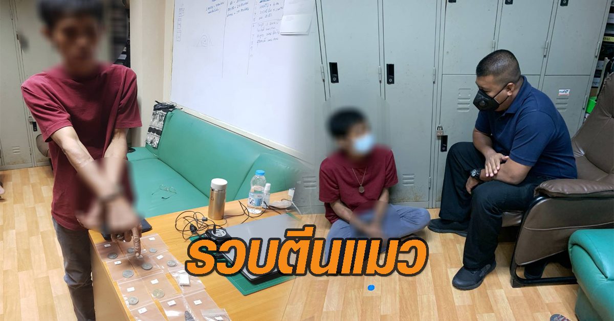 รวบตีนแมว
