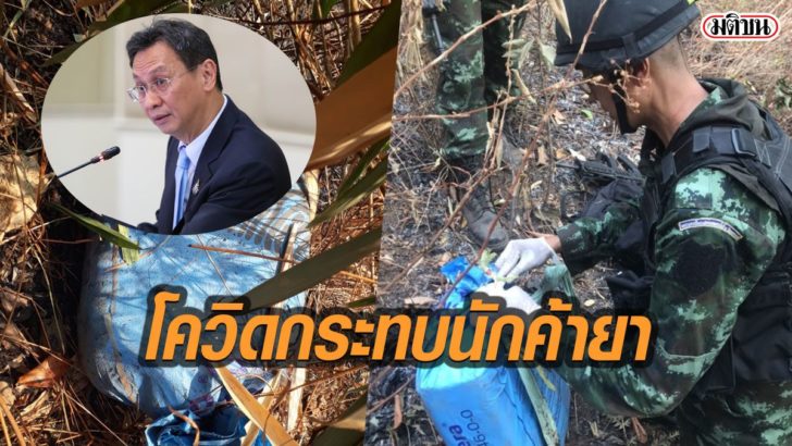 รูป533