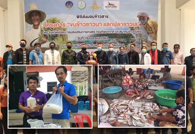 สกู๊ป-ข้าวแลกปลา