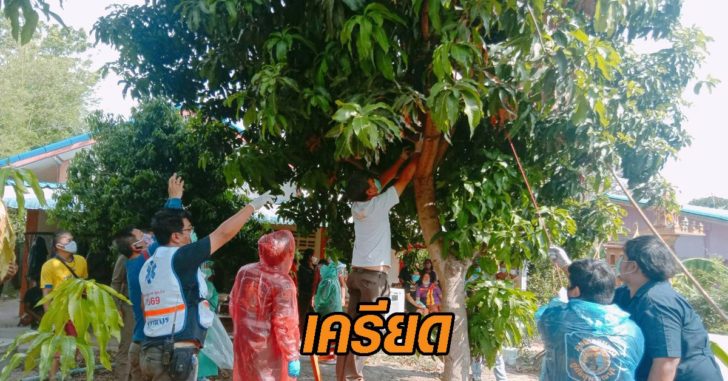 สุพรรณ