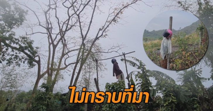 หุ่นปริศนา