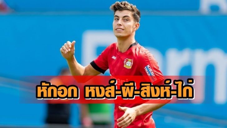 ฮาเวิร์ตซ์+++13131