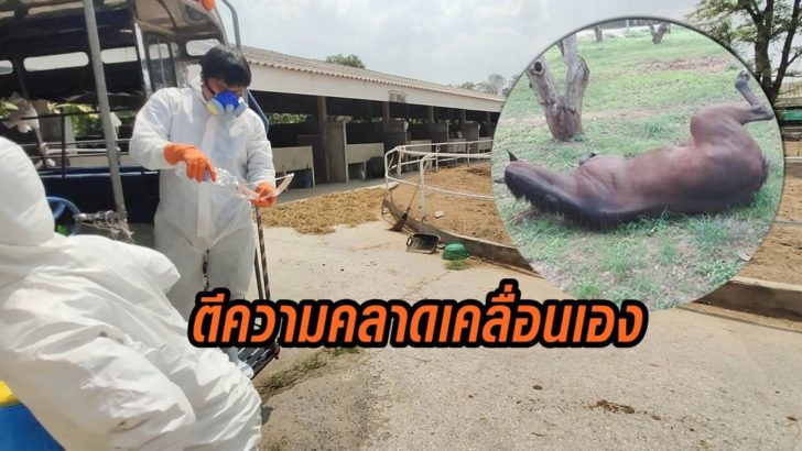 โคราช-ม้าตาย-2