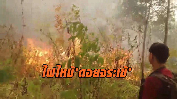 ไฟไหม้ดอยจระเข้8