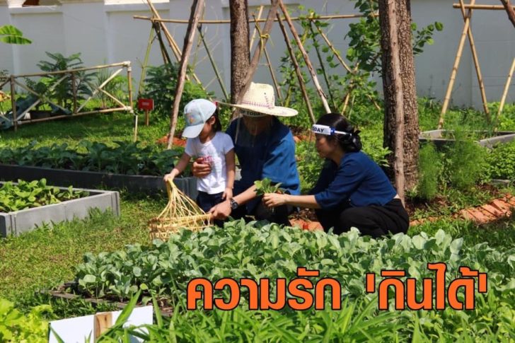 03-ภาพเด่น1