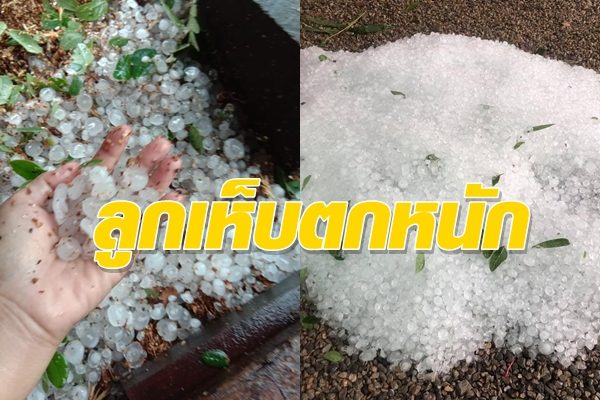 ฝนตกหนักทำนายฝันว่าฝนตกพร้อมเลขนำโชค