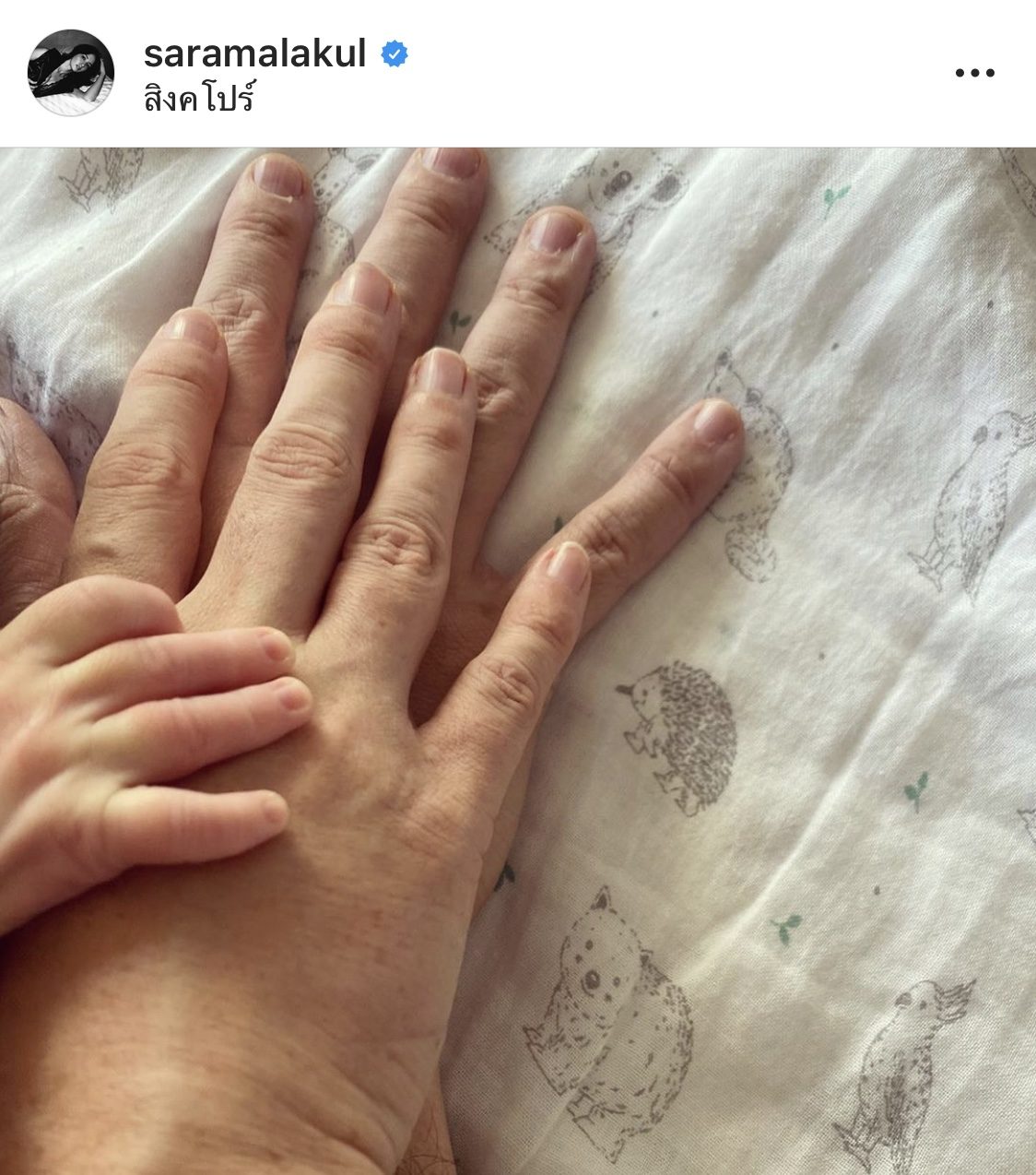 ซาร่า มาลากุล