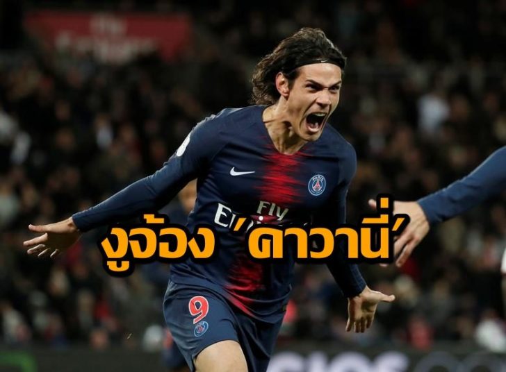 Paris St Germain's Edinson Cavani - REUTERS:Benoit Tessier_+4853904