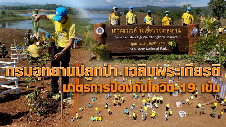 กรมอุทายานปลูกป่า