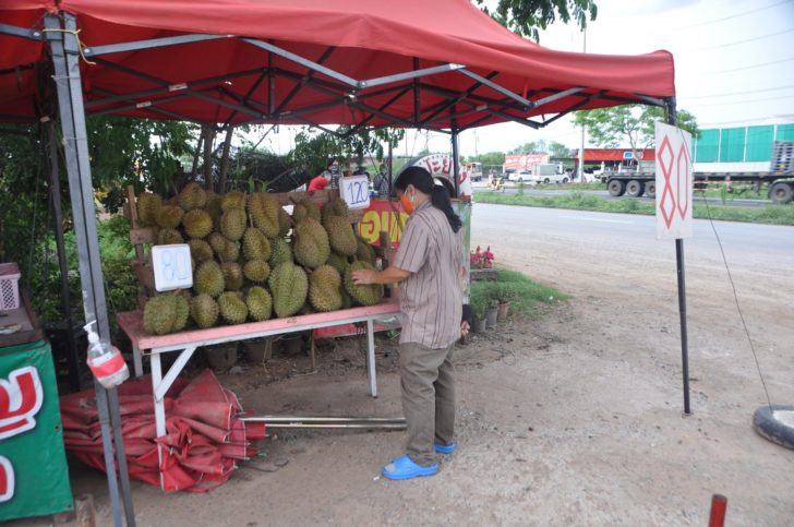 ทุเรียน1