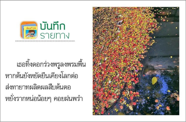 บันทึกรายทาง วันอาทิตย์ที่ 24 พฤษภาคม 2563