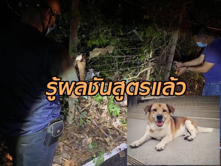 พี่เตี้ย2