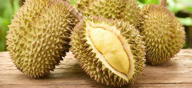 คุณภาพคือความอยู่รอด : เกษตรส่งออก : โดย วิฑูรย์ สิมะโชคดี