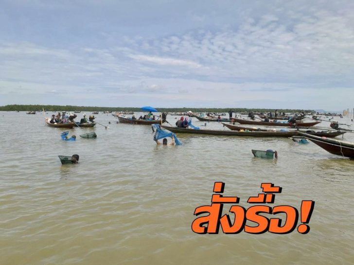 รุกอ่าวบ้านดอน สุราษฎร์