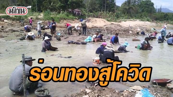 ร่อนทองสู้โควิด