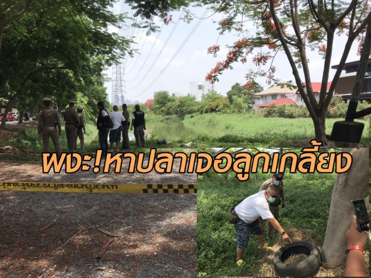 ลูกเกลี้ยง