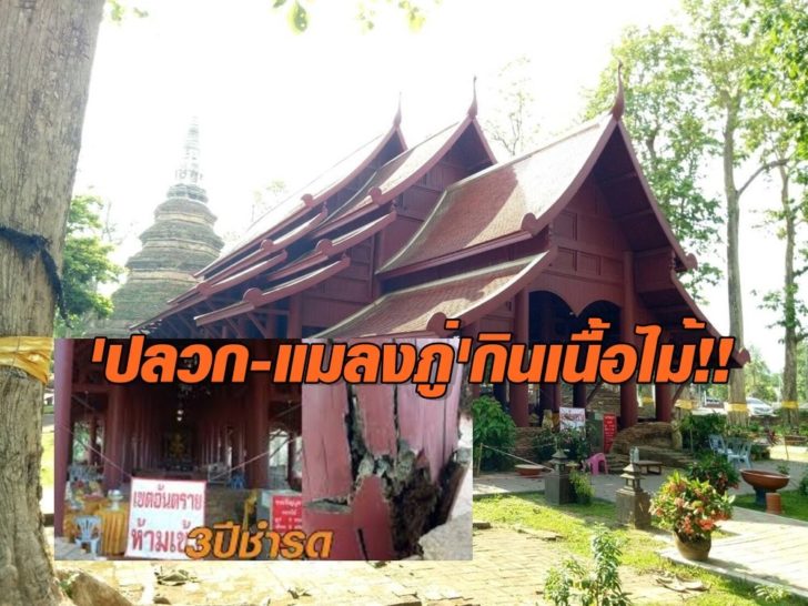 วัดเจดีย์หลวง3