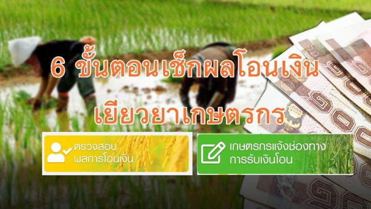 เยียวยาเกษตรกร