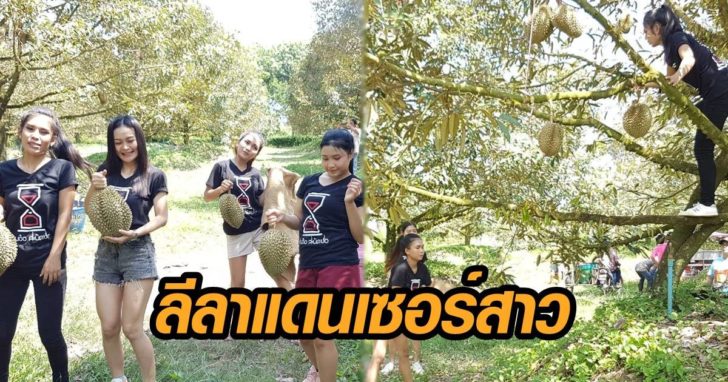 แดนเซอร์