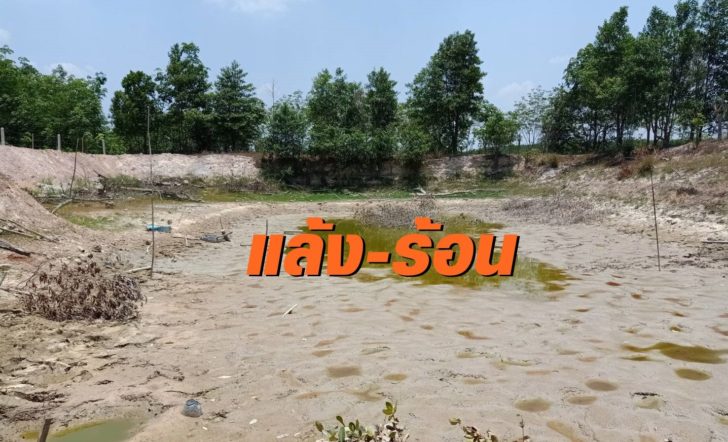 แล้ง1