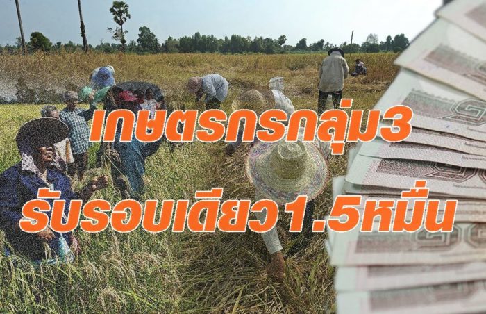 เช็กเลย!! เกษตรกรกลุ่ม3 อยู่ระหว่างขึ้นทะเบียน รอรับรอบเดียว 1.5หมื่นบ.