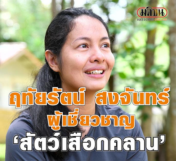 ปก-คำต่อคำ
