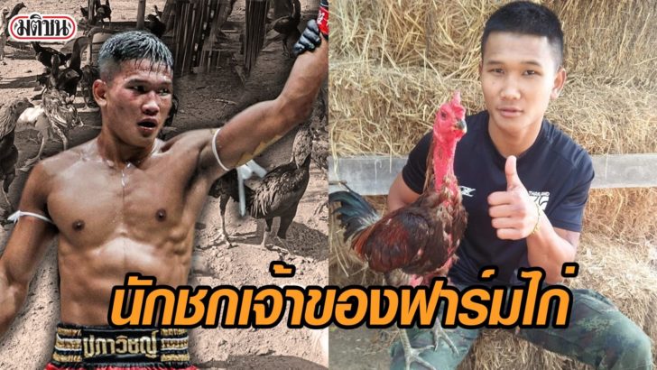 กุหลาบดำ สจ.เปี๊ยกอุทัย