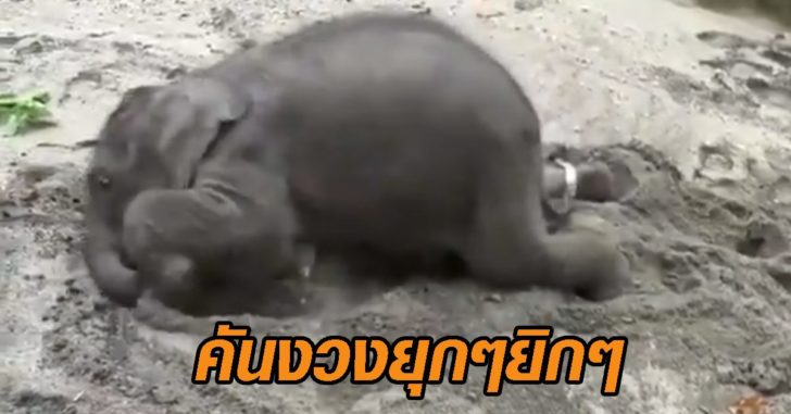 คันงวง