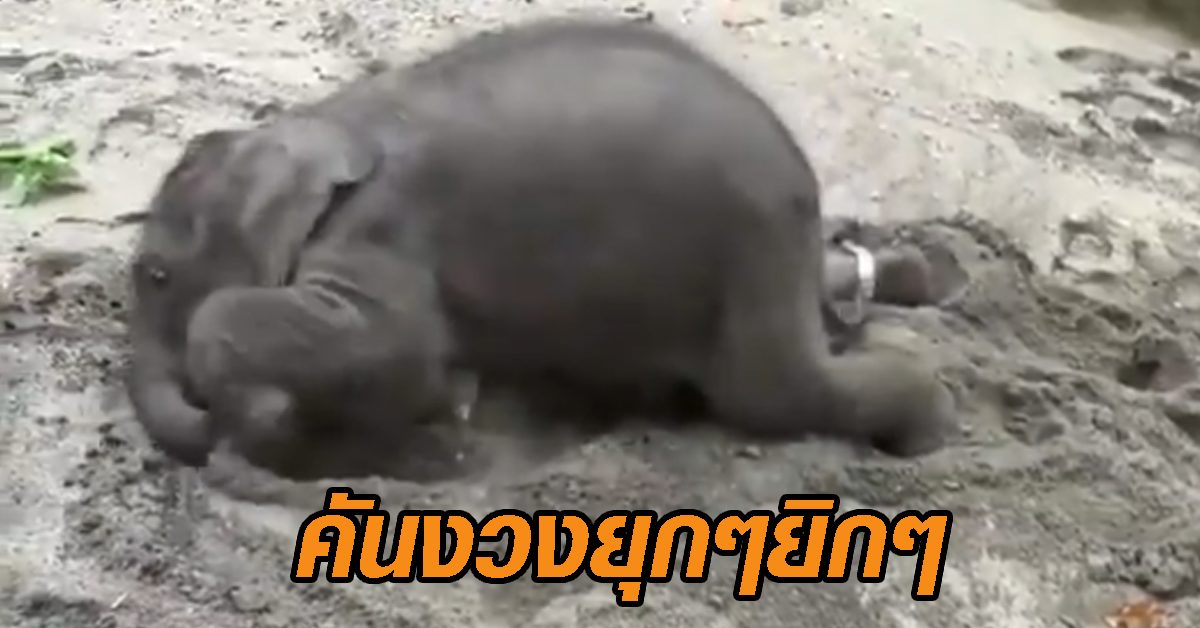 คันงวง