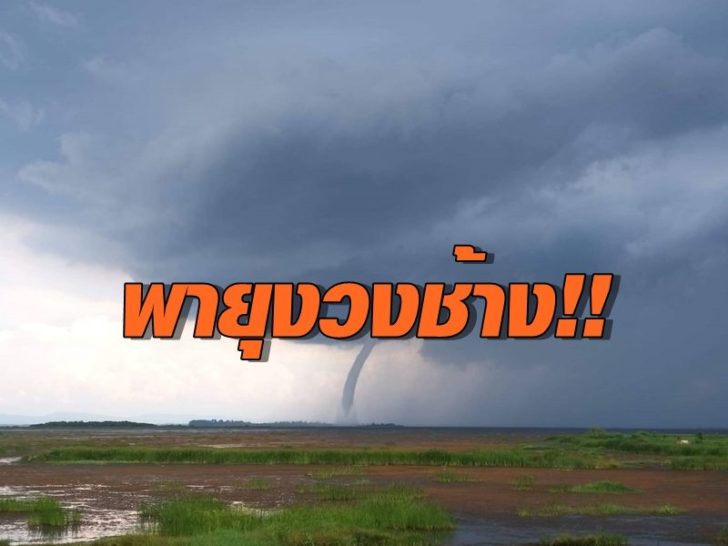 งวงช้าง3