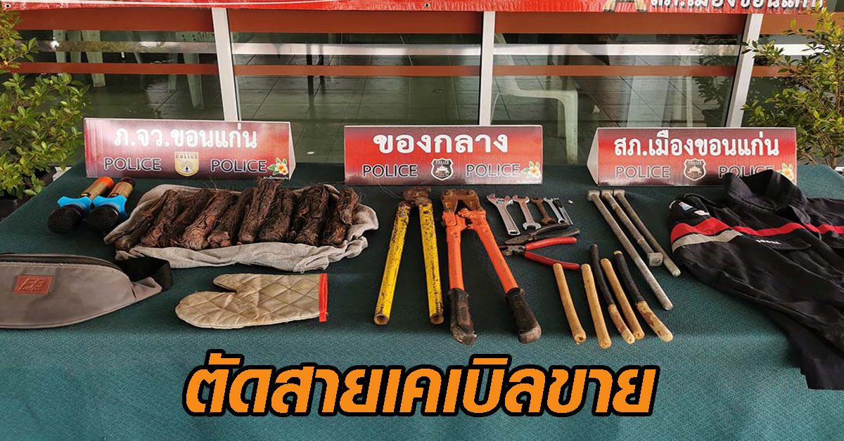 ตัดสายเคเบิลขาย