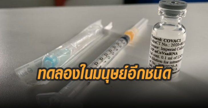 ทดลองในมนุษย์อีกชนิด