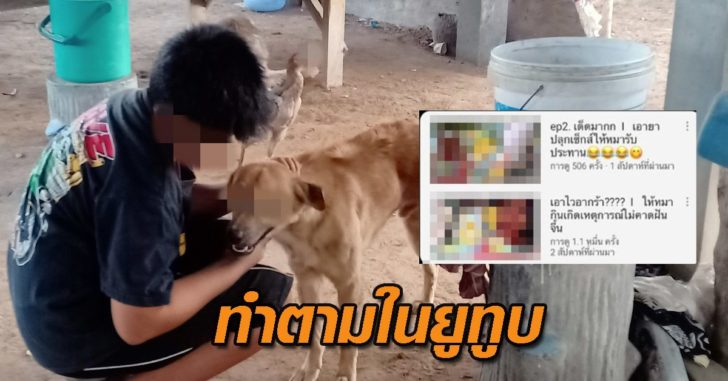 ทำตามยูทูบ