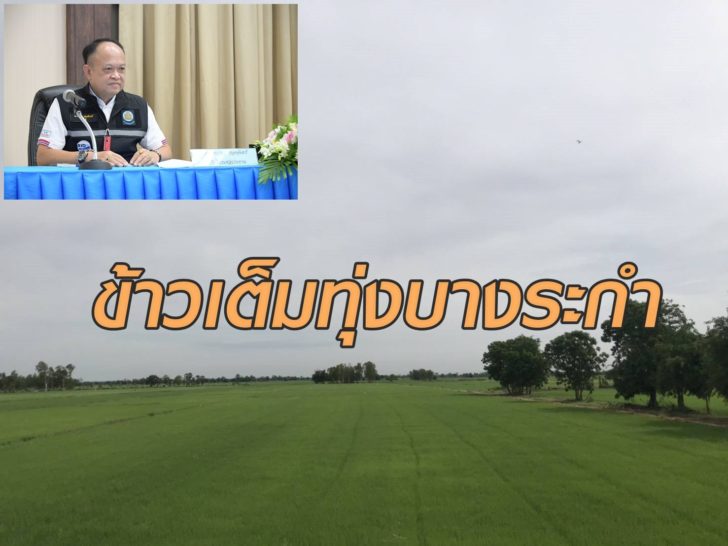 ทุ่งข้าวบางระกำ