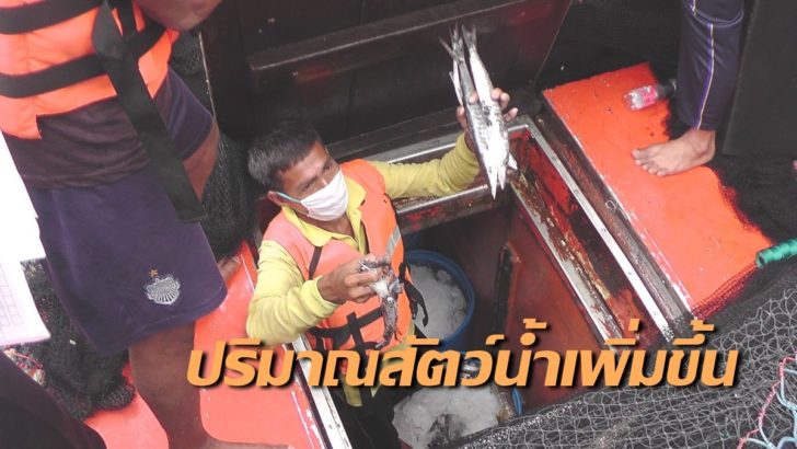 ประมงกระบี่