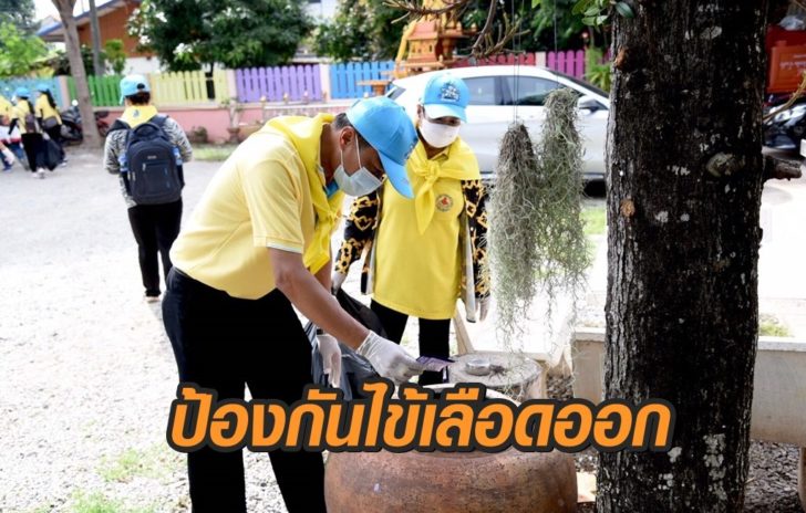 ป้องกันไข้เลือดออก