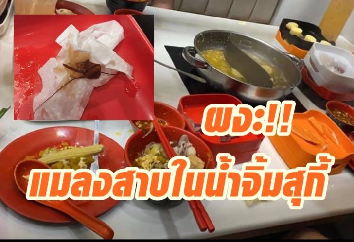 สุกี้ตี๋น้อย แมลงสาบ6