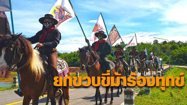 เดอะสตาลเลี่ยนไทยแลนค์ ยกขวบควบม้าร้องทุกข์