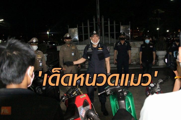 เด็ดหนวดแมว