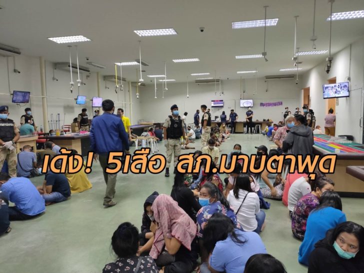 เด้งแล้ว