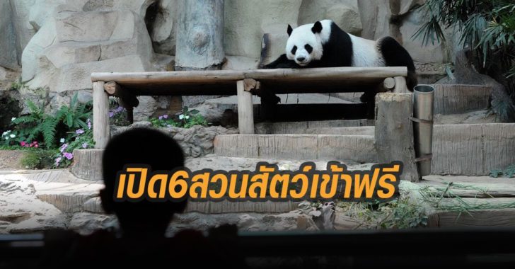 เปิด-6-สวนสัตว์เข้าฟรี