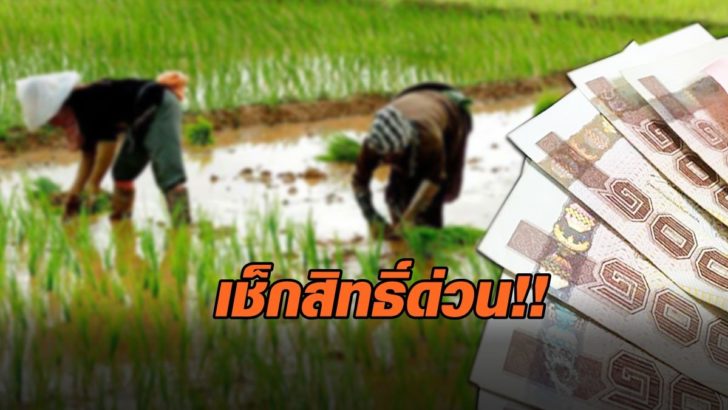 เยียวยาเกษตรกร